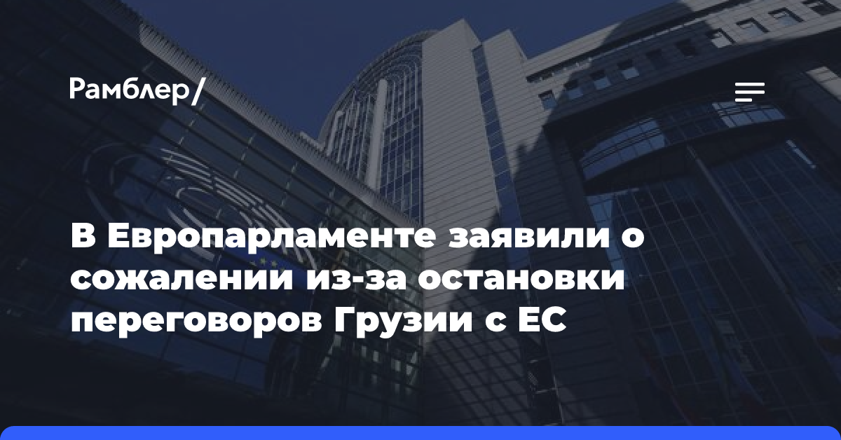 В Европарламенте заявили о сожалении из-за остановки переговоров Грузии с ЕС