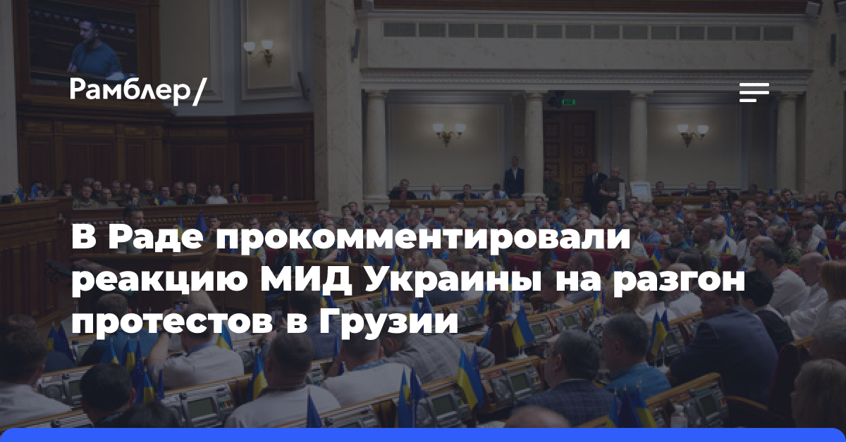 Нардеп Бужанский назвал хамской реакцию МИД Украины на разгон протестов в Грузии