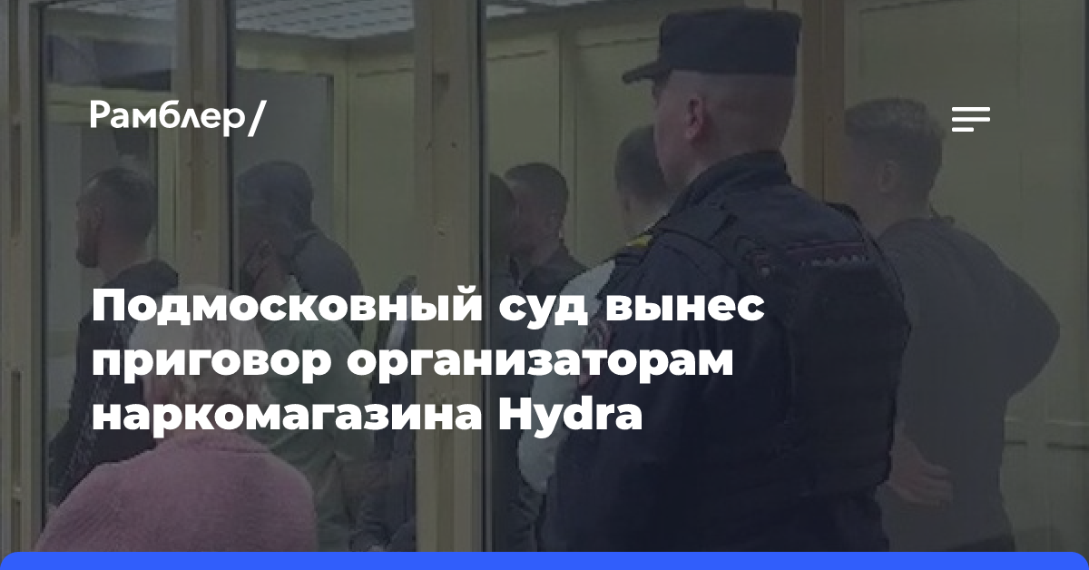 Подмосковный суд вынес приговор организаторам наркомагазина Hydra