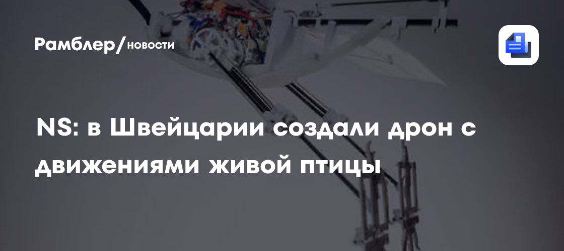 NS: в Швейцарии создали дрон с движениями живой птицы - Рамблер/новости