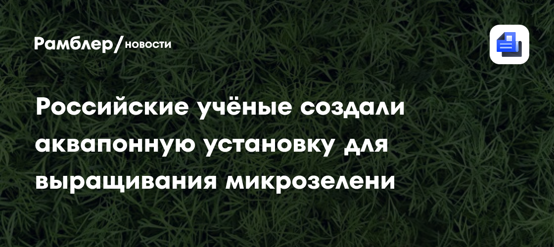 Создана повышающая урожайность микрозелени на 30% технология