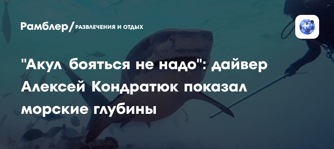В глубинах океана: дайвер Алексей Кондратюк показал удивительный мир