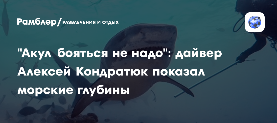 "Акул бояться не надо": дайвер Алексей Кондратюк показал морские глубины