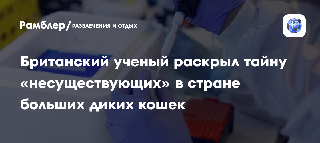 Тайна британских диких кошек раскрыта: ученый из Уорикского университета сделать сенсационное открытие