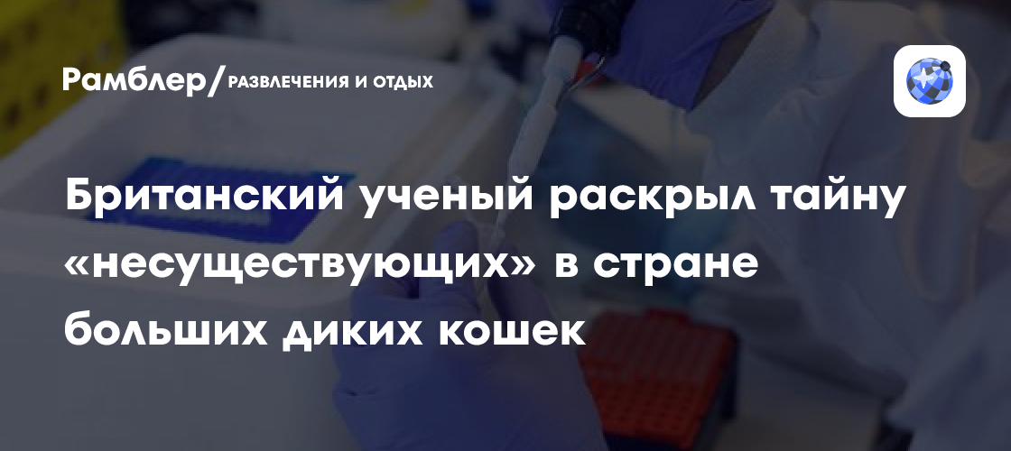 Британский ученый раскрыл тайну «несуществующих» в стране больших диких кошек