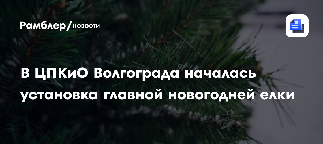 Зажглась главная ёлка Омска: началась подготовка к Новому году