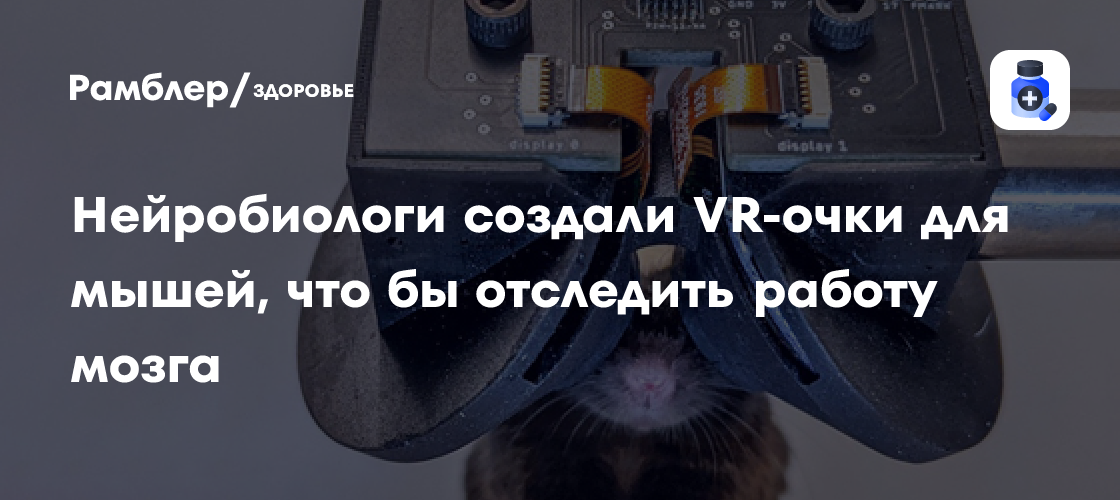 Нейробиологи разрабатывают VR-технологии для исследования мозга мышей