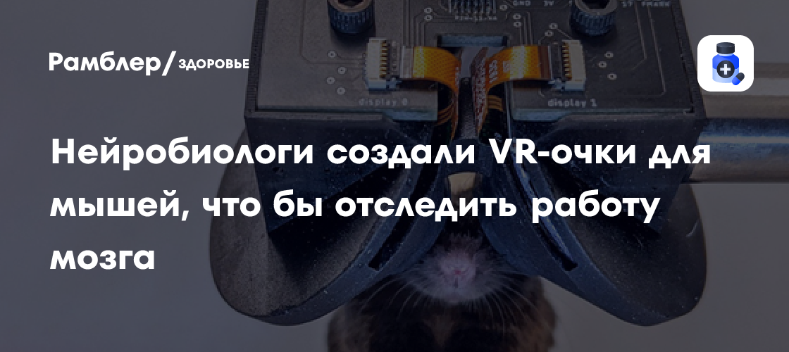 Нейробиологи создали VR-очки для мышей, что бы отследить работу мозга