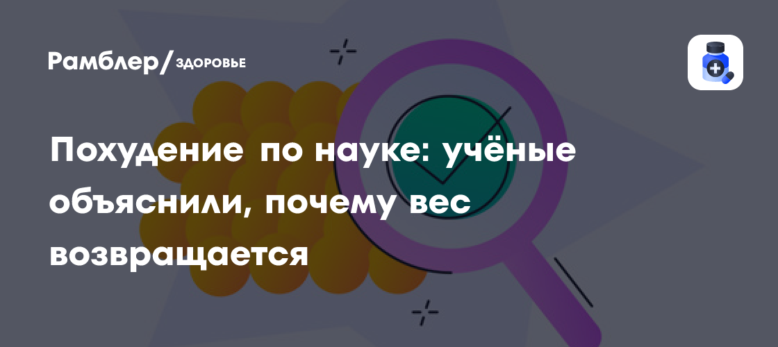 Похудение по науке: учёные объяснили, почему вес возвращается