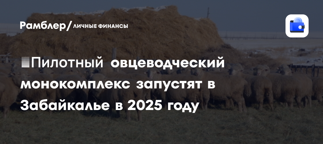 ​Пилотный овцеводческий монокомплекс запустят в Забайкалье в 2025 году