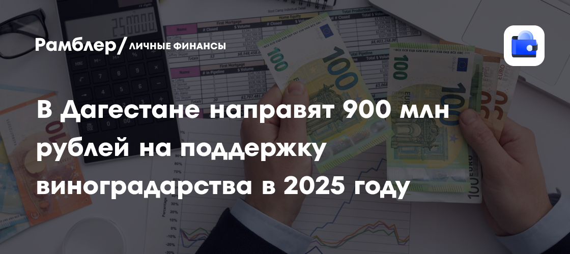 В Дагестане направят 900 млн рублей на поддержку виноградарства в 2025 году