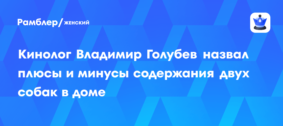 Кинолог Владимир Голубев назвал плюсы и минусы содержания двух собак в доме