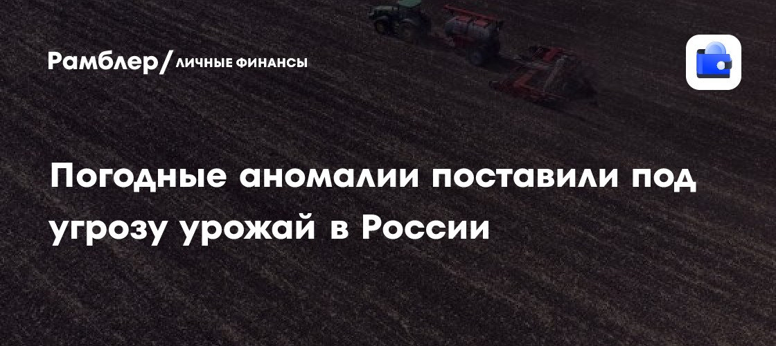 Урожай в России под угрозой: как погодные аномалии повлияют на будущий сбор
