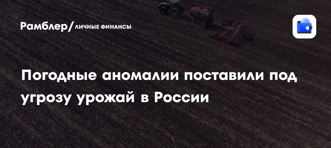 Погодные аномалии поставили под угрозу урожай в России