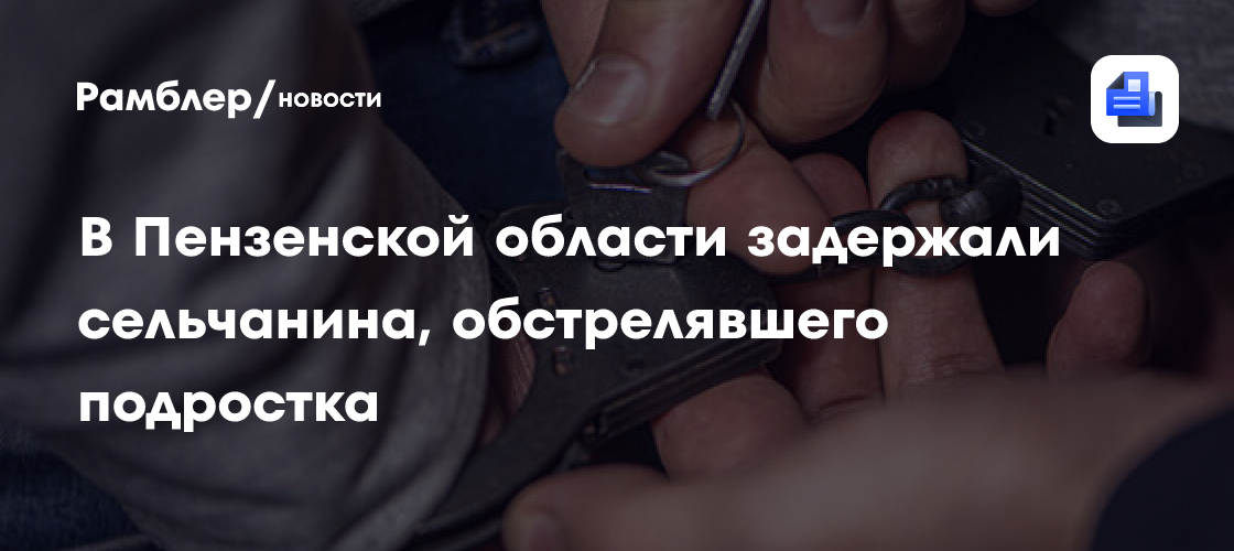 В Пензенской области задержали сельчанина, обстрелявшего подростка