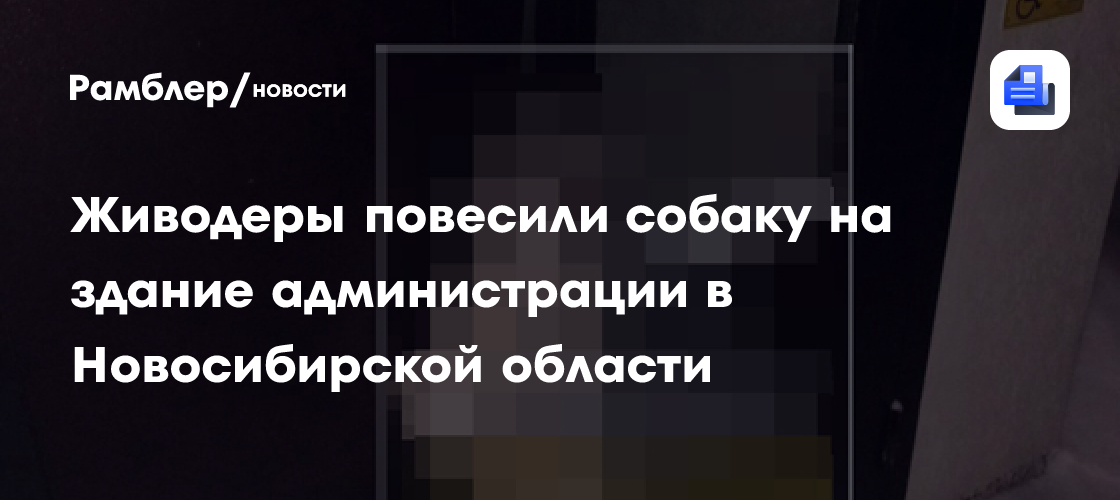 Живодеры повесили собаку на здание администрации в Новосибирской области