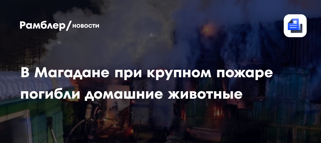 В Магадане на крупном пожаре погибли домашние животные