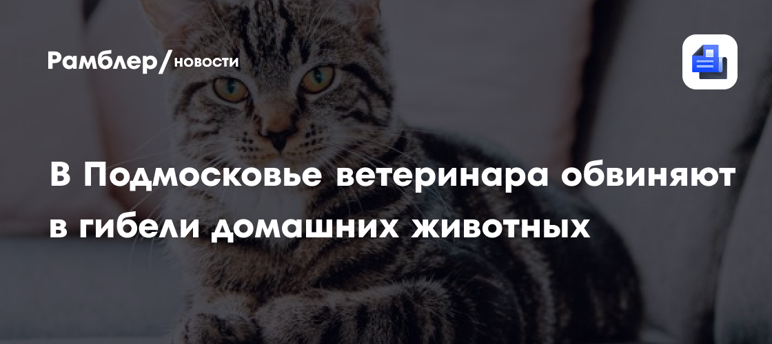 В Подмосковье ветеринара обвиняют в гибели домашних животных