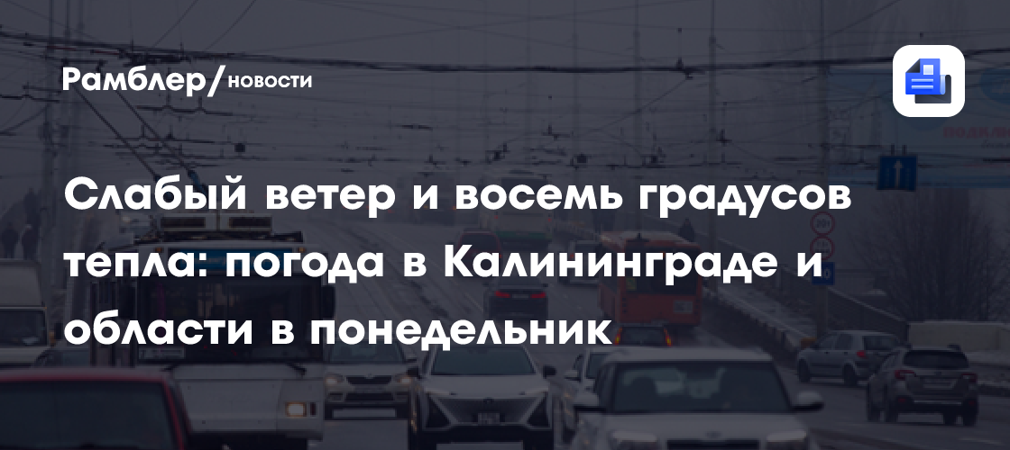 Слабый ветер и восемь градусов тепла: погода в Калининграде и области в понедельник