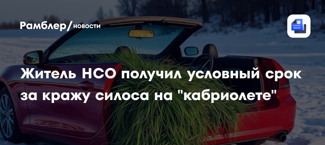 Житель НСО получил условный срок за кражу силоса на «кабриолете»