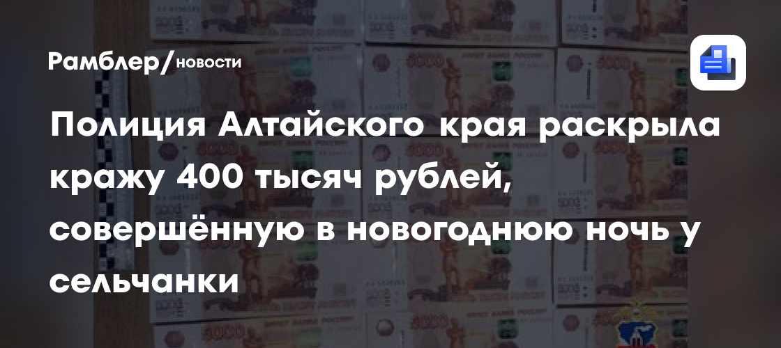 Полиция Алтайского края раскрыла кражу 400 тысяч рублей, совершённую в новогоднюю ночь у сельчанки