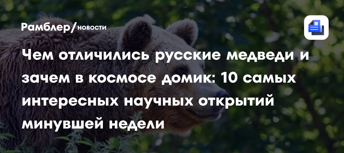 Чем отличились русские медведи и зачем в космосе домик: 10 самых интересных научных открытий минувшей недели