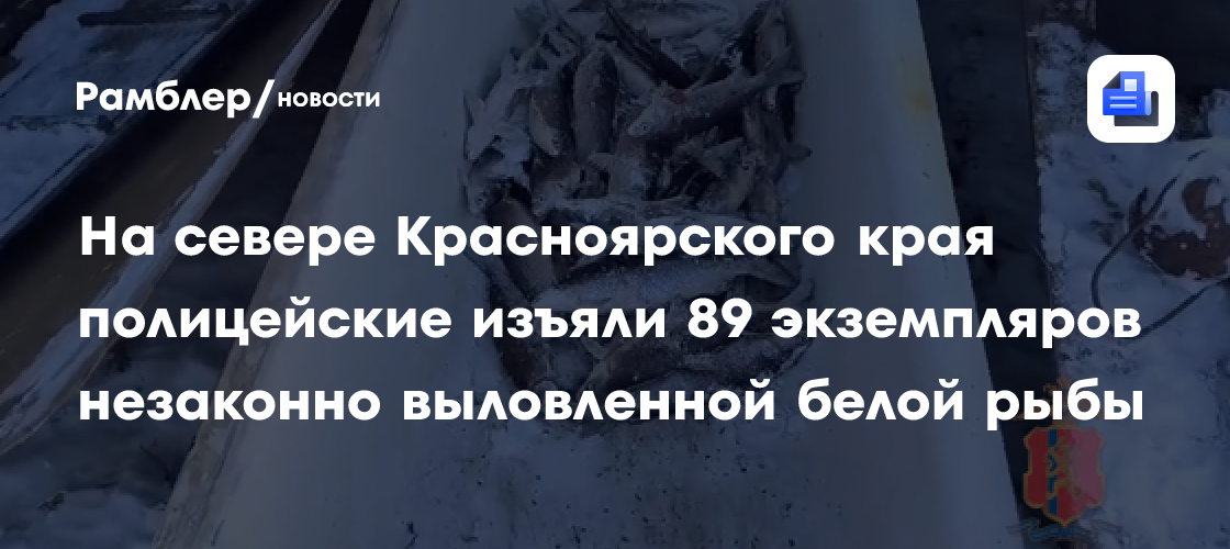 Полиция уличила жителя Красноярского края в незаконной добыче сетью 89 особей белой рыбы сиг