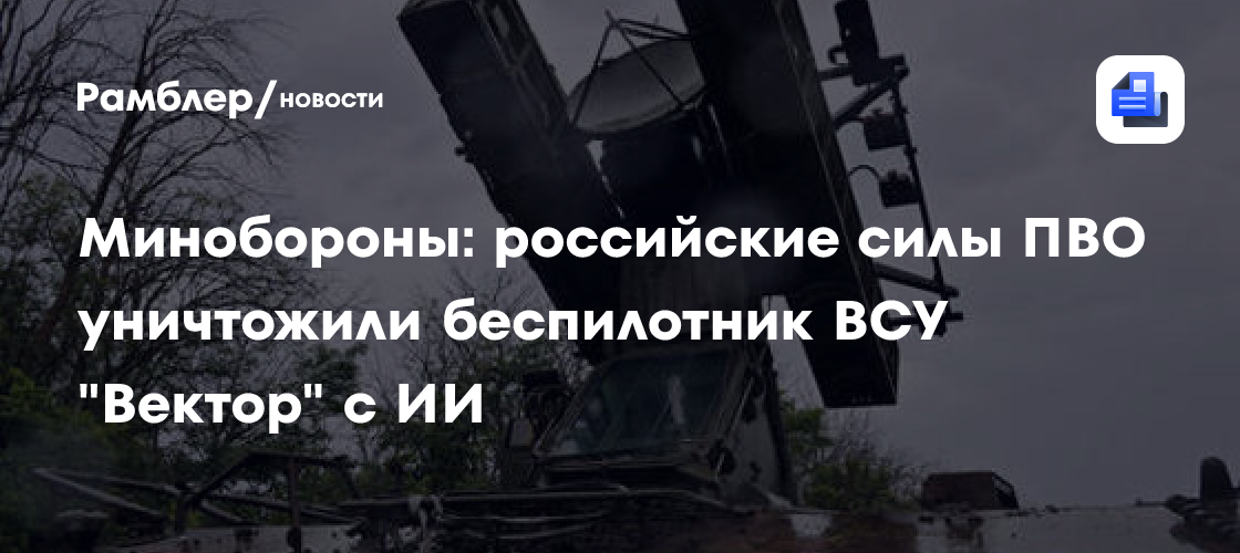 Минобороны: российские силы ПВО уничтожили беспилотник ВСУ «Вектор» с ИИ