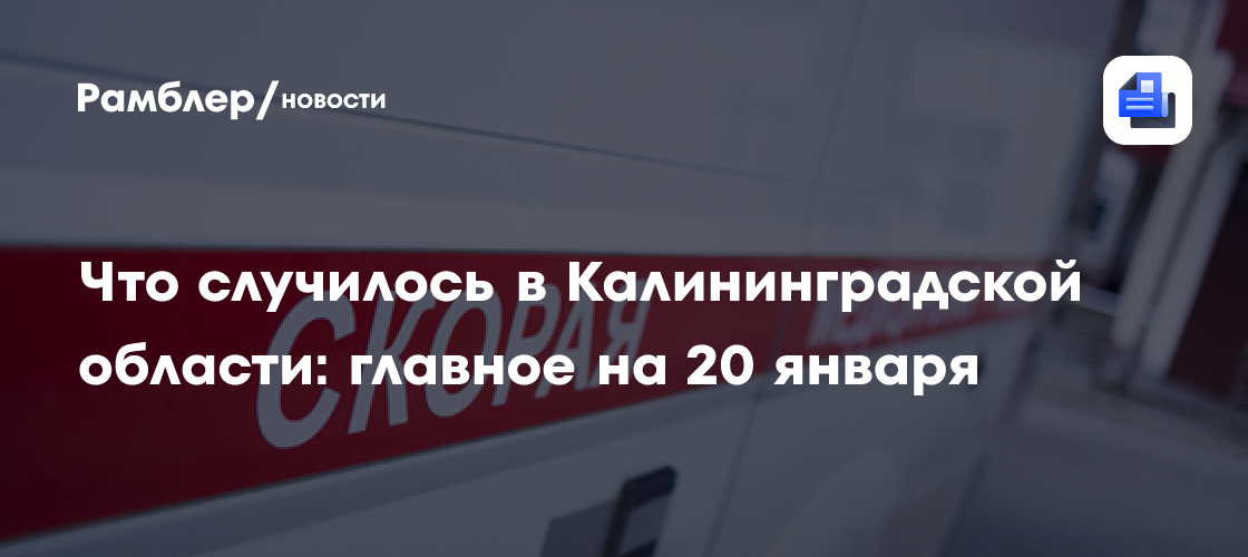 Что случилось в Калининградской области: главное на 20 января