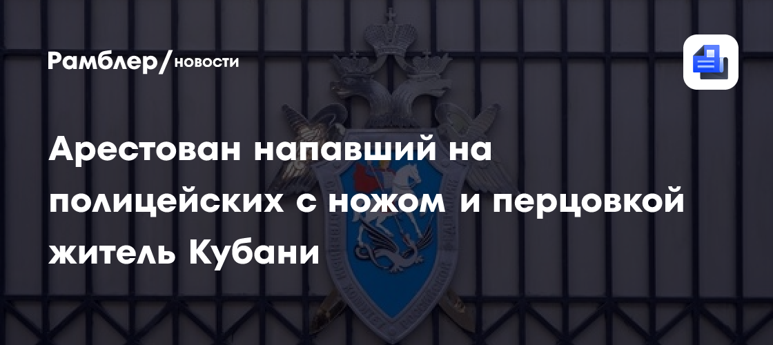 Арестован напавший на полицейских с ножом и перцовкой житель Отрадной