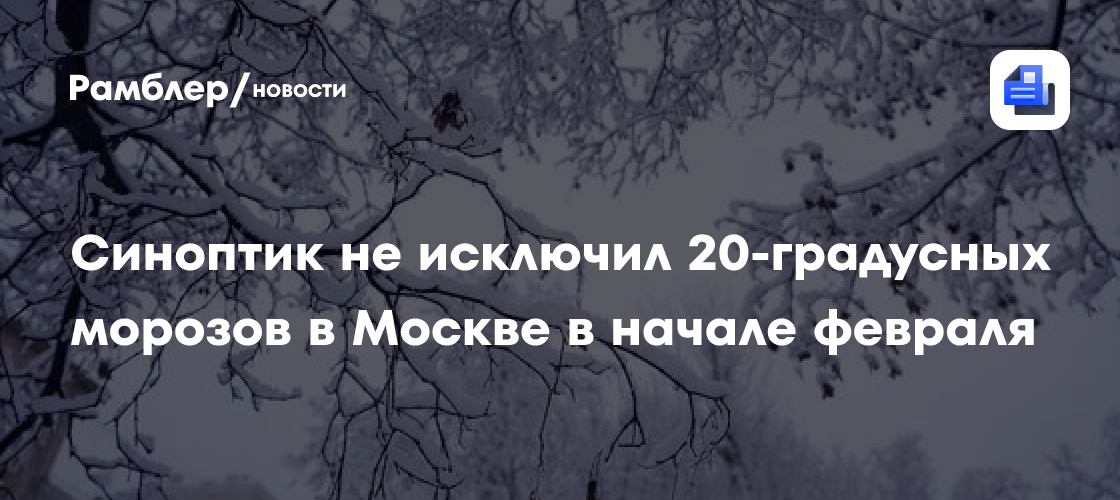 Синоптик Шувалов: в Москве февраль может начаться с 25-градусных морозов