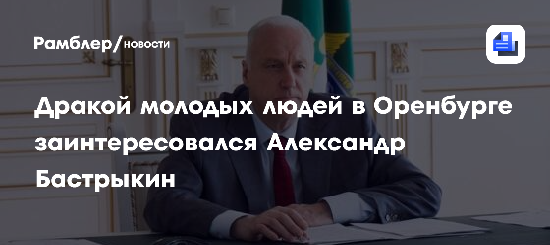 Александр Бастрыкин затребовал доклад по уголовному делу о нападении бездомных собак в Новокуйбышевске