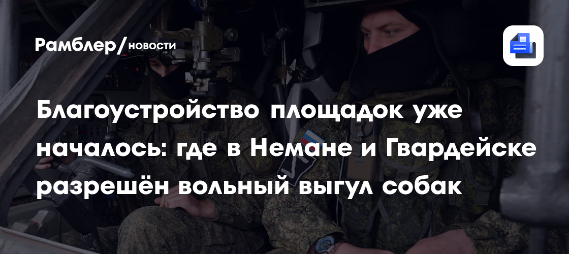 Благоустройство площадок уже началось: где в Немане и Гвардейске разрешён вольный выгул собак