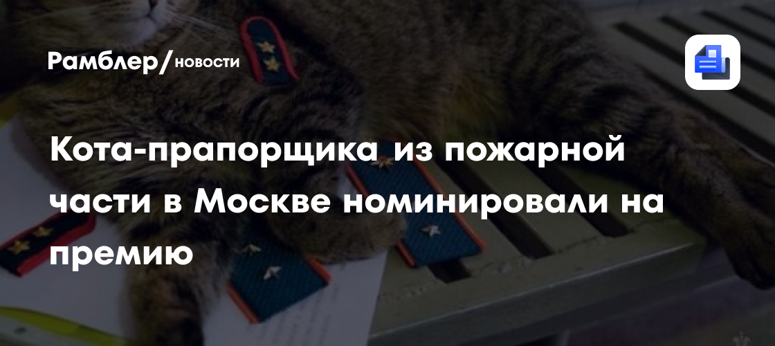 Кота из московской пожарной части номинировали на международную премию