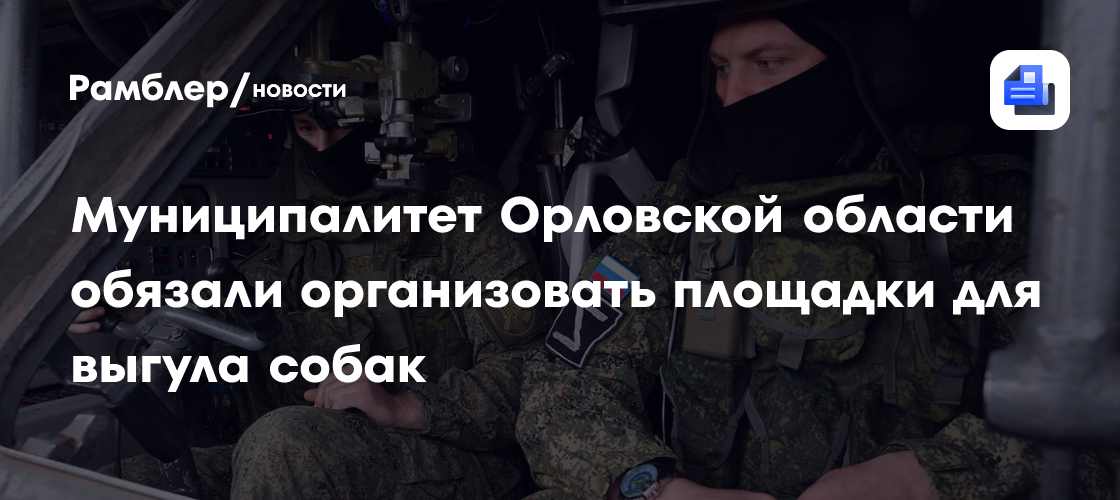 Муниципалитет Орловской области обязали организовать площадки для выгула собак