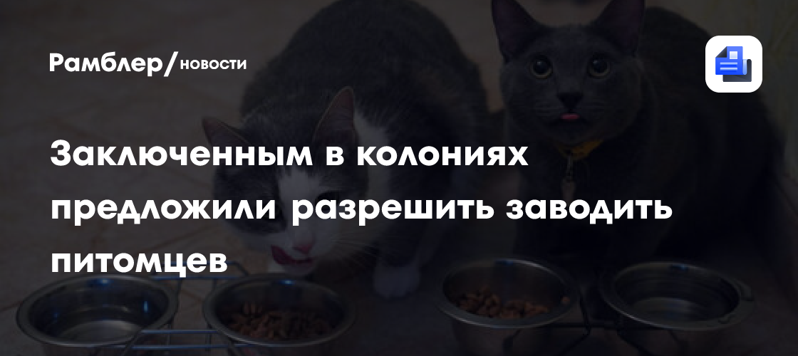 Заключенным в колониях предложили разрешить заводить питомцев