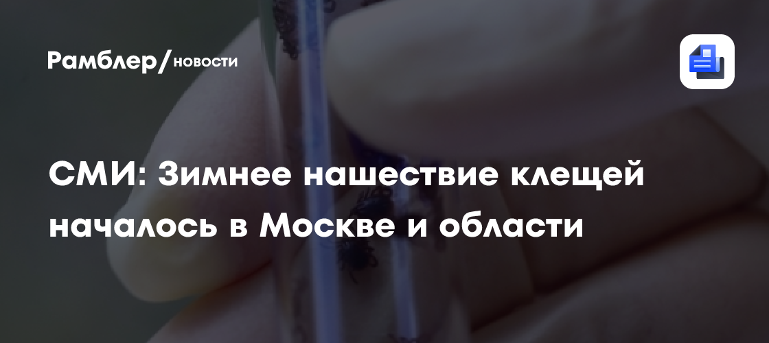 СМИ: Зимнее нашествие клещей началось в Москве и области