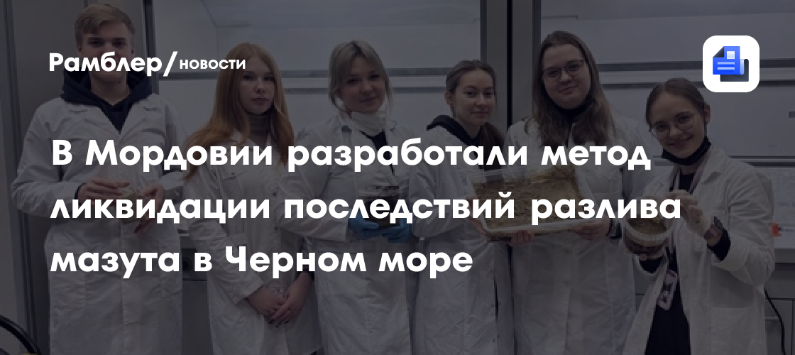 В Мордовии разработали метод ликвидации последствий разлива мазута в Черном море