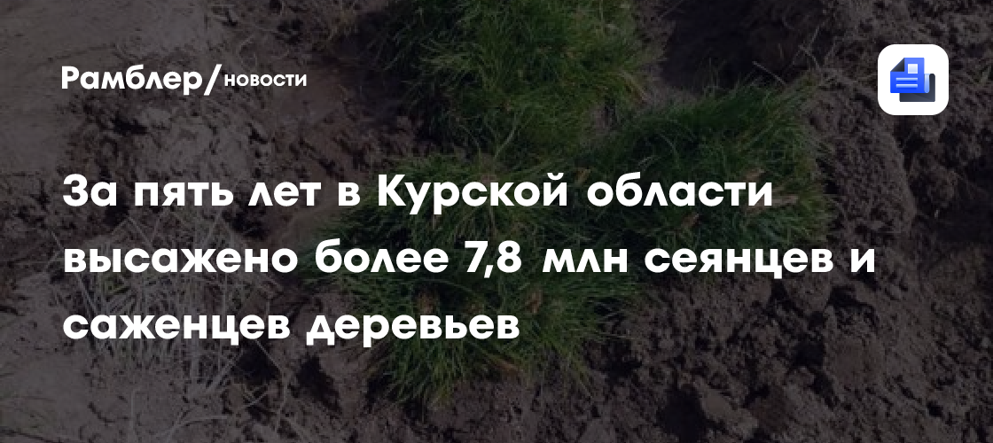 За пять лет в Курской области высажено более 7,8 млн сеянцев и саженцев деревьев