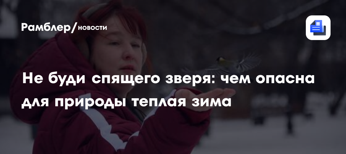 Не буди спящего зверя: чем опасна для природы теплая зима