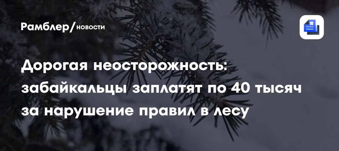 Дорогая неосторожность: забайкальцы заплатят по 40 тысяч за нарушение правил в лесу