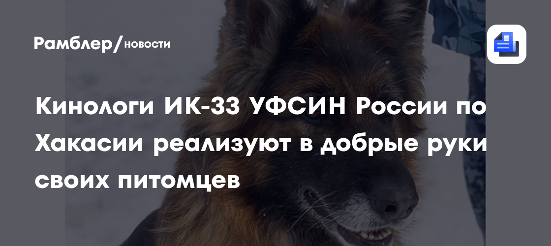 Кинологи ИК-33 УФСИН России по Хакасии реализуют в добрые руки своих питомцев