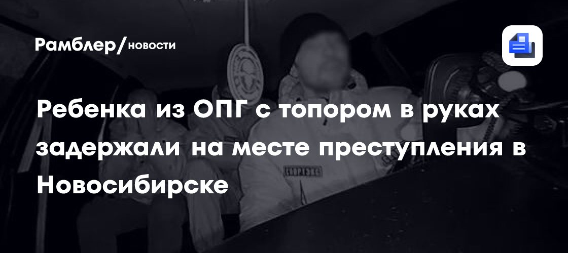 Ребенка из ОПГ с топором в руках задержали на месте преступления в Новосибирске