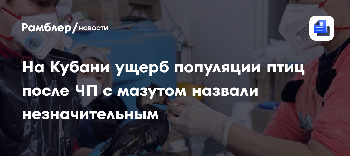 На Кубани ущерб популяции птиц после ЧП с мазутом назвали незначительным