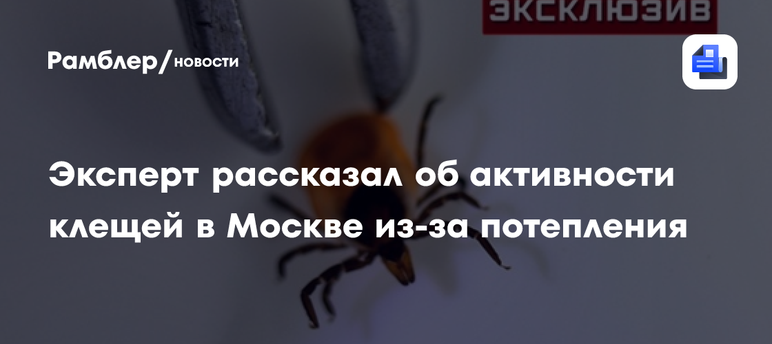 Эксперт рассказал об активности клещей в Москве из-за потепления