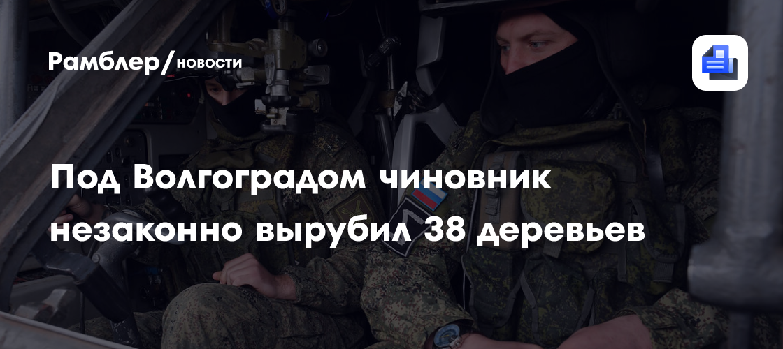 Под Волгоградом чиновник незаконно вырубил 38 деревьев