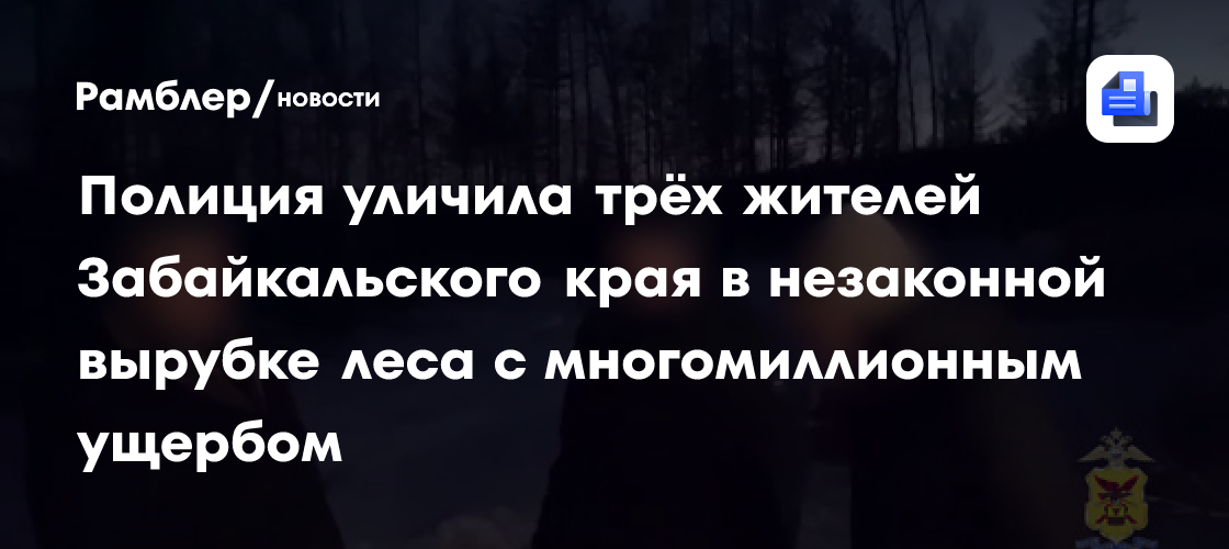 Полиция уличила трёх жителей Забайкальского края в незаконной вырубке леса с многомиллионным ущербом