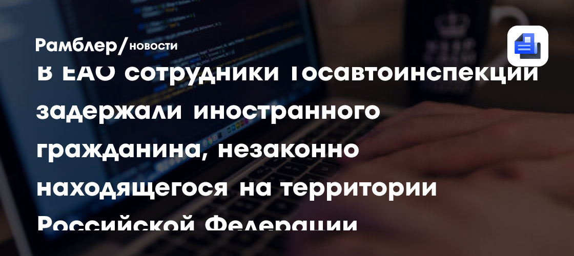 В МВД предупредили о мошеннических сайтах для проверки неразрешения въезда в РФ