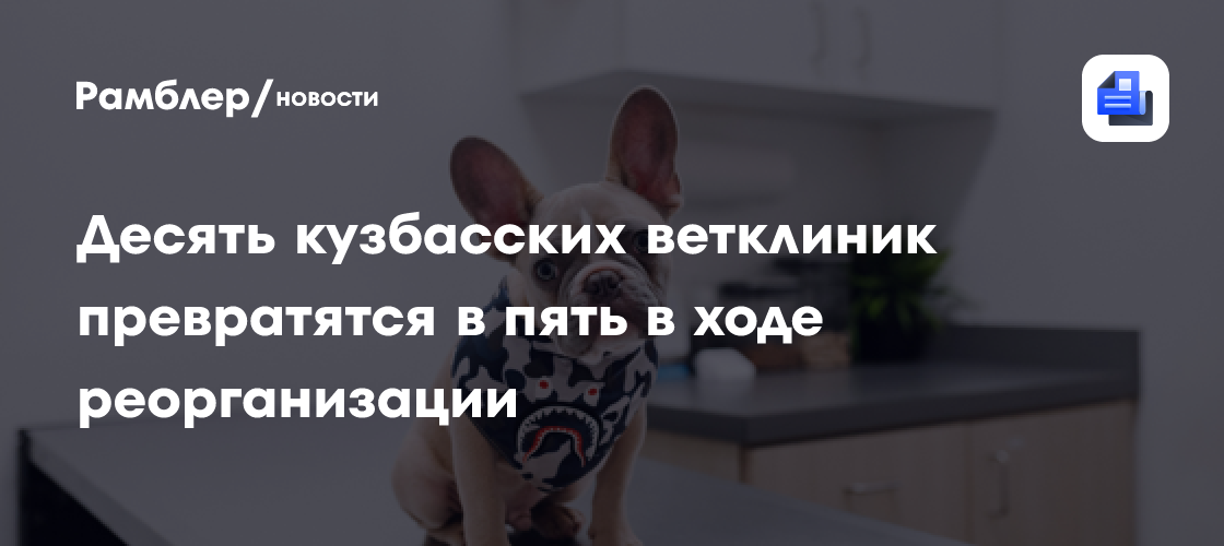 Десять кузбасских ветклиник превратятся в пять в ходе реорганизации