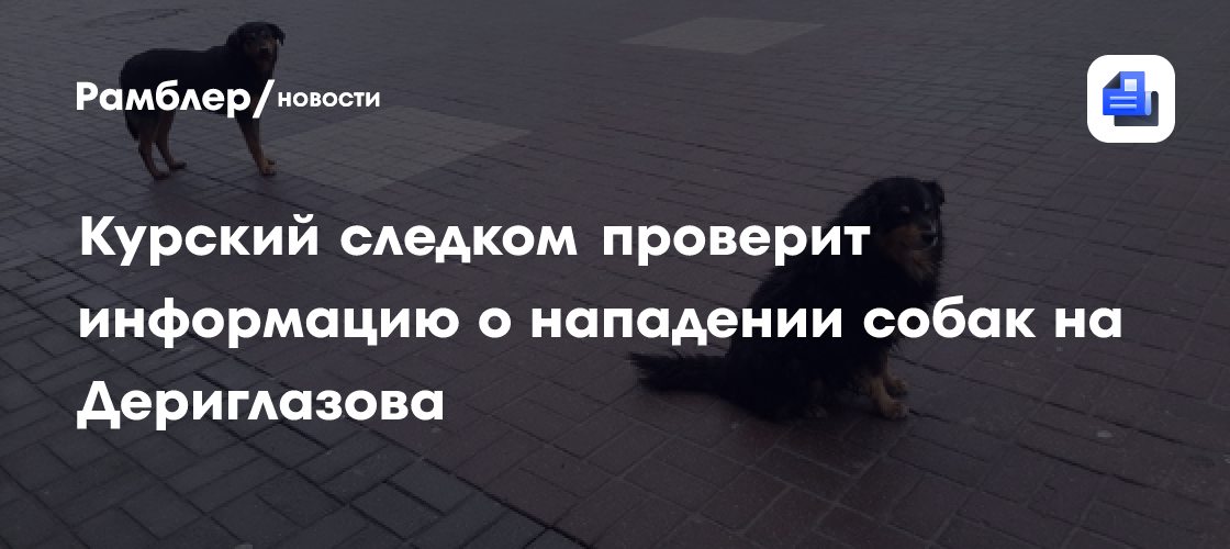 Курский следком проверит информацию о нападении собак на Дериглазова